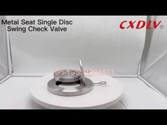 Βαλβίδα ελέγχου αιώρησης δίσκου Wafer Μηδενικής Διαρροής