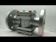 Βιομηχανικό γυαλί σκοπιάς ANSI 300LB 6