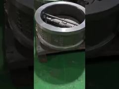 διπλή βαλβίδα ελέγχου πλάκας