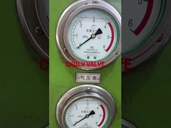 Δοκιμή πίεσης της βαλβίδας σφαίρας κυψελού από ανοξείδωτο χάλυβα PN16