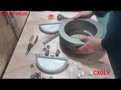 Συγκρότηση βαλβίδας ελέγχου διπλής πλάκας κυψέλης