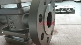 Valve Sight Glass 300LB RF Σύνδεση φλάντζας με πτερύγιο