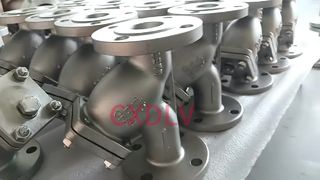 DN40 Ανοξείδωτο ατσάλι Y-Strainer ANSI150LB Σύνδεση RF