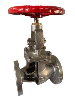 Ανυψωτική βαλβίδα πόρτας χειροκίνητου τροχού με άκρη φλάντζας από ανοξείδωτο χάλυβα CF8M 150LB για έλεγχο υγρών και εύκολη λειτουργία