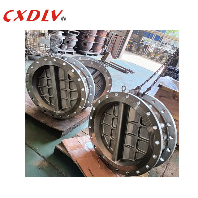 DN600 Δύο πλάκες ελεγκτική βαλβίδα Duplex Steel 2205 PN10 Flanged